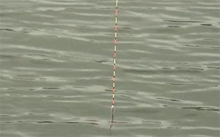 V震江湖第一季01：青岛天才淡钓基地黑坑对决 [视频]