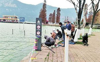 昆明海埂公园禁钓牌旁淡定钓鱼 老人说为陶冶情操