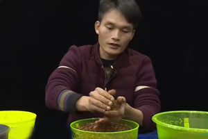 《渔乐工作站》独门秘方中药泡饵 留窝聚鱼钓大鲤 [视频]