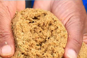饵目一新第37期：天冷鱼口不佳时的用饵技巧 [视频]