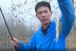 《渔乐工作站》安徽行之凤阳 特色钓法冬季钓鲫鱼 [视频]