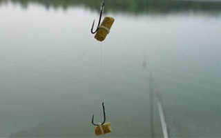 浅析鱼性偏口是如何形成的