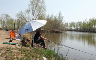 春季钓鱼的最佳天气时间选择技巧