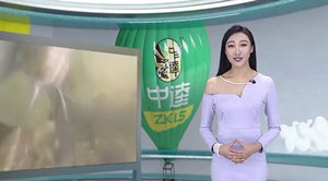 饵目一新第43期：初春水库钓鲫鱼心得分享 [视频]