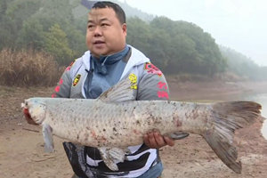 《涉钓英雄传》 湖南株洲水库“破风”寻大青 [视频]