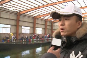钓赛进行时：2017冬钓大棚赛星级钓手回馈赛（上）[视频]