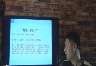 闯江湖野钓那些事 如何如何垂钓黄辣丁 [视频]
