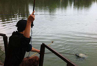 黑坑钓鲤鱼的钓竿、线组、浮漂使用技巧