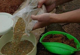 钓鱼人分享一款经典的窝料配方