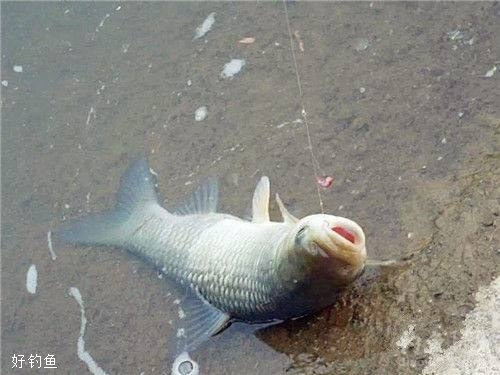 解析夏季野钓的打窝技巧