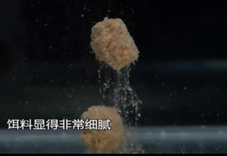 《钓具首测》范宁测评 余师傅红钻饵料 [视频]