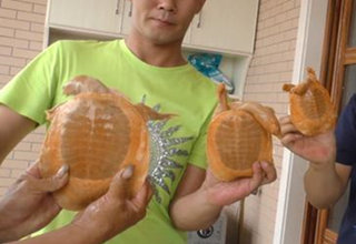 男子钓鱼抓到四只“黄金甲”,每天数百人到家围观