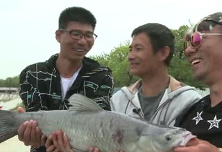 《黑坑江湖》第六季 第一期 南下博大物之行 钓青鱼 [视频]
