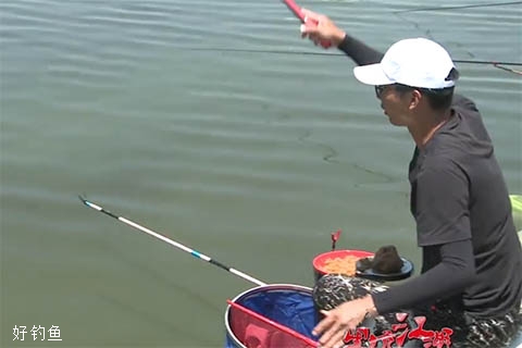 《黑坑江湖》第六季07 小小鲫瓜P哥 石林宏胜垂钓园 [视频]
