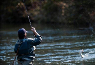 在有水流的地方钓鱼，使用什么钓法？