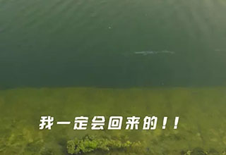 记一次难忘的夜钓，感慨颇深