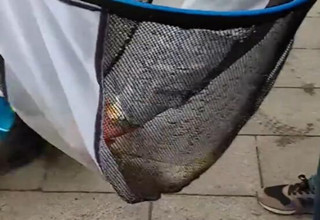 钓赛大事件：2017和谐盛世 杯孝义胜溪湖垂钓大赛 [视频]