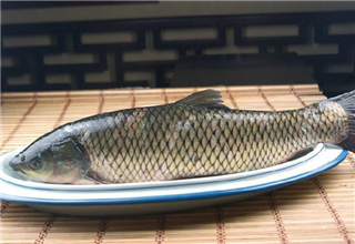 秋季钓大草鱼,就靠这三种自制钓鱼饵料
