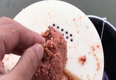 一款数次爆护的钓鲫饵料配方揭密 [视频]
