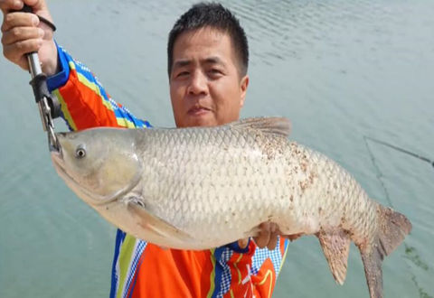 Fishing全攻略20171030期 开沃如龙似虎钓竿 [视频]