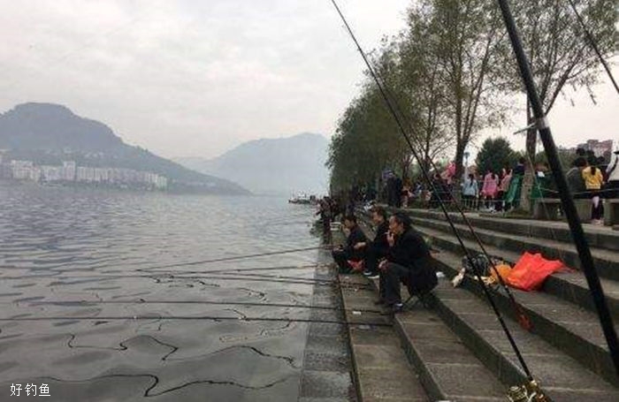 掌握各种鱼的行为习惯，才能提高命中率