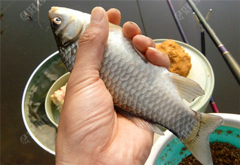 携妻带友归乡，天洋伴我重温儿时梦