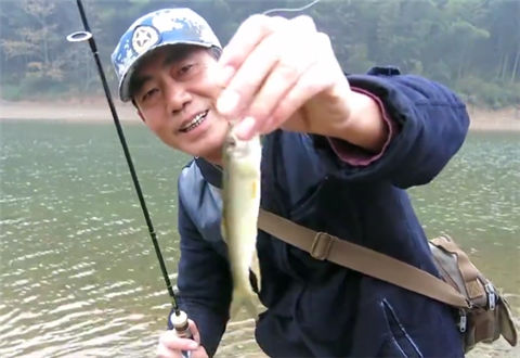 三耳鱼的马口微世界 2017冬季之二 [视频]