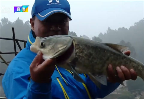 Fishing全攻略20171211期 NS炫武湖库极休闲野钓组 [视频]