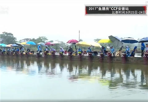 CCF快乐垂钓黑坑争霸赛20171011期：2017鱼膳房CCF安徽站 [视频]