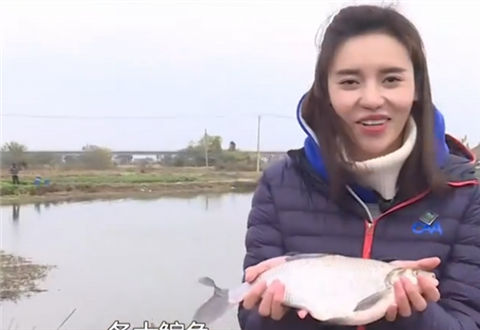 《江湖行》游钓无锡猎乌鲫 美女太湖钓鱼 [视频]