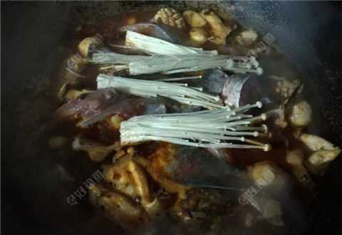 众里寻她千百度,夜至天黑中巨物