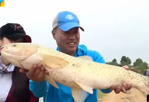 Fishing全攻略20180103期 涉水精工黑带进取版钓竿 [视频]