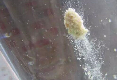 散泡钓法怎么用?高手讲解使用方法
