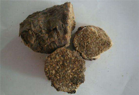 阿魏钓鱼真的有用吗？加上蚯蚓就是百发百中