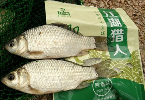 [试钓编二] 江湖猎人腥香鲫VS黄金钓点