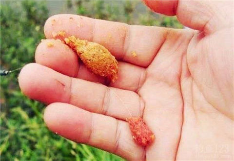 野钓如何才能钓到大鱼?就用包食钓法
