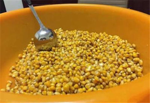 钓鲤鱼用什么饵料最好？啤酒玉米粒诱鱼不错