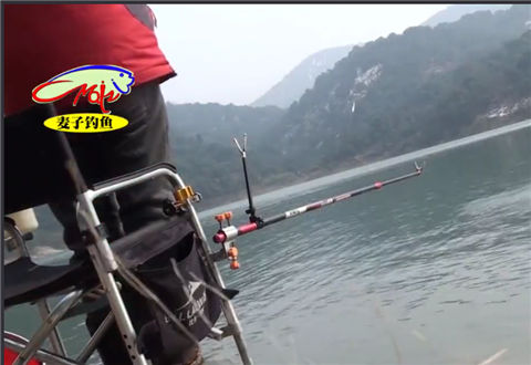 麦子钓鱼 浮漂一动 大鲫鱼一条接一条上来 [视频]