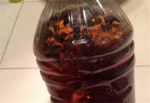 怎样泡制钓鱼药酒简单又好用?