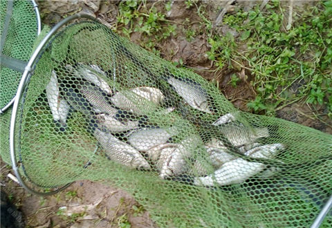 野钓特殊情况多,转场即有小爆护