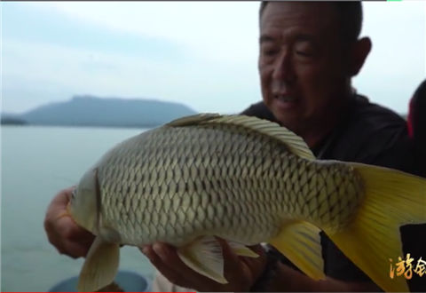 跟着大毛学钓鱼第53集 探钓石门水库 单子线做钓显奇效 [视频]