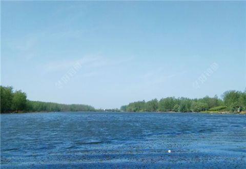 [开竿咯] 大风大浪博大鲫，钓到天黑不想走