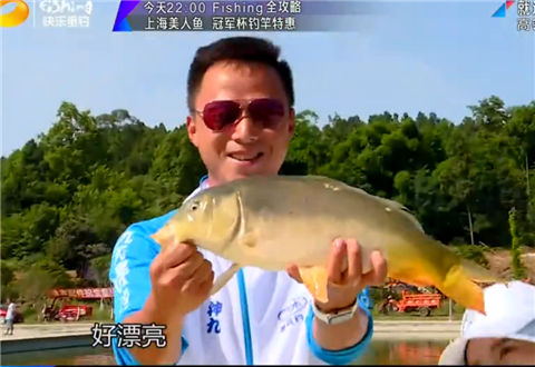 就这样钓鱼 高密黑坑散黏饵 [视频]