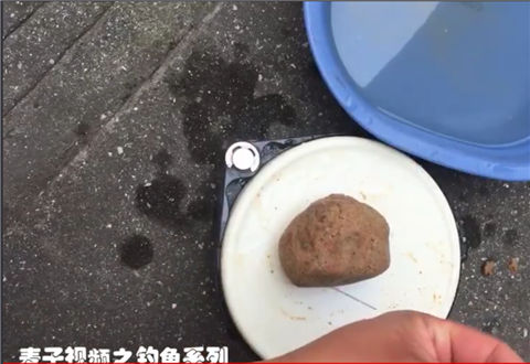 麦子钓鱼 钓鱼技巧之饵料发硬和返水的解决技巧 [视频]