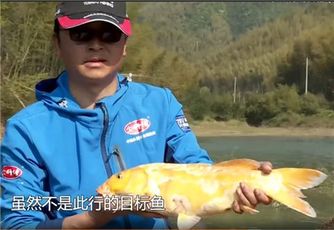 自游去钓20180516期 师傅用饵记 二 [视频]