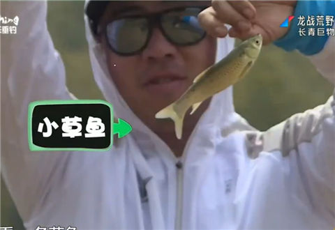 龙战荒野20180601期 长青巨物拉锯战 [视频]