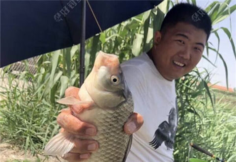 钓到一半起大风,全程闹白条,我只想奔着大鲫鱼去啊!