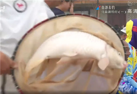 自游去钓20180607期 马焱游钓行 一 [视频]