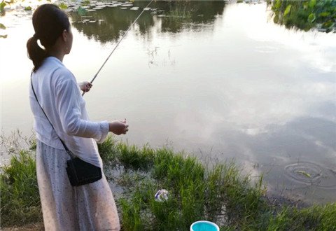 公园夜钓,与漂亮女钓手擦肩而过