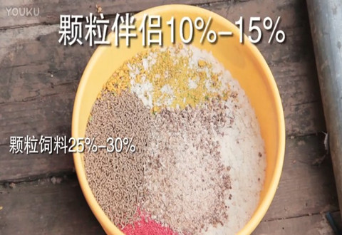 渔课堂 鱼塘钓鲤鱼的鱼饵味型配制 [视频]